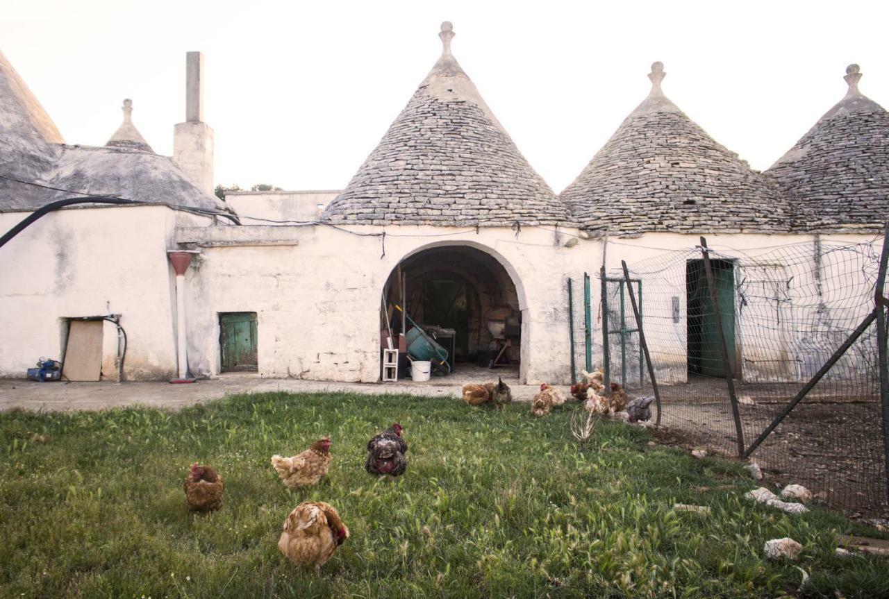 Trulli Sul Vignale In Masseria Santalachicca Martina Franca Ngoại thất bức ảnh